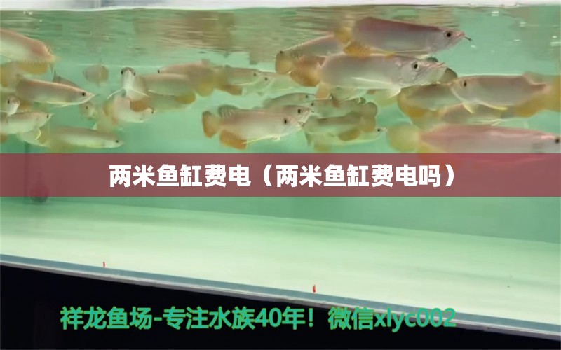 两米鱼缸费电（两米鱼缸费电吗） 鱼缸百科