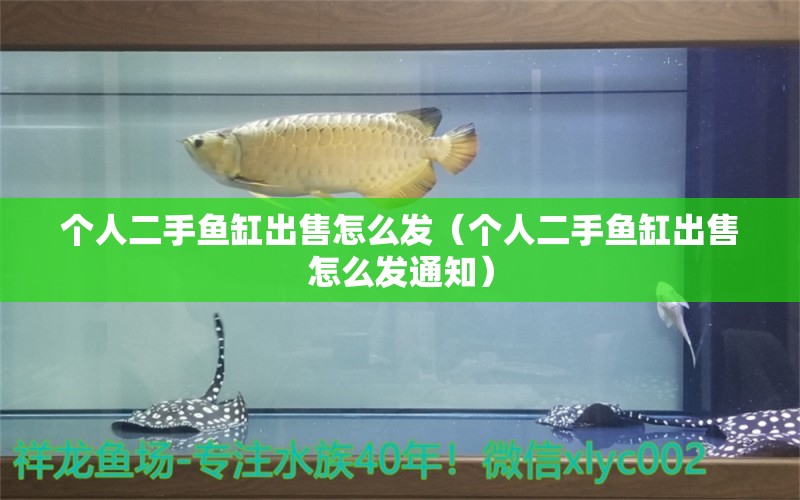 个人二手鱼缸出售怎么发（个人二手鱼缸出售怎么发通知） 量子养鱼技术