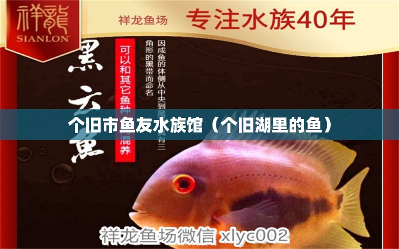 个旧市鱼友水族馆（个旧湖里的鱼）