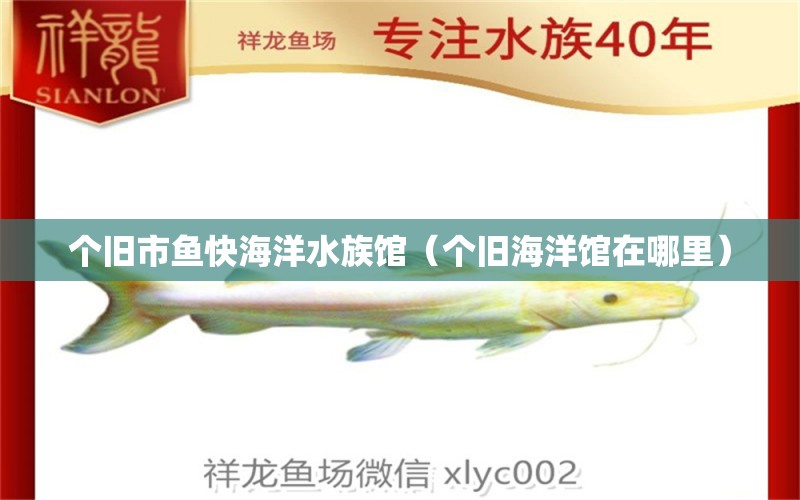 个旧市鱼快海洋水族馆（个旧海洋馆在哪里） 全国水族馆企业名录