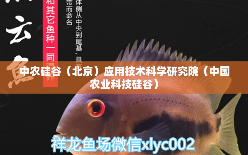 中农硅谷（北京）应用技术科学研究院（中国农业科技硅谷） 全国水族馆企业名录