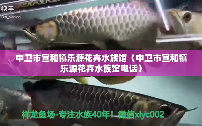 中卫市宣和镇乐源花卉水族馆（中卫市宣和镇乐源花卉水族馆电话）