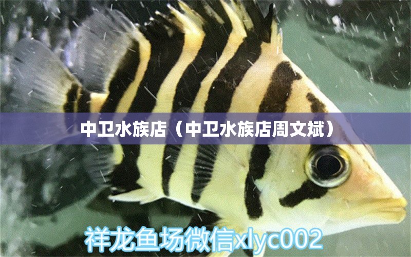 中卫水族店（中卫水族店周文斌）