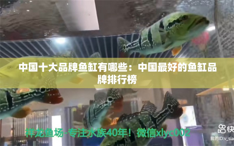 中国十大品牌鱼缸有哪些：中国最好的鱼缸品牌排行榜