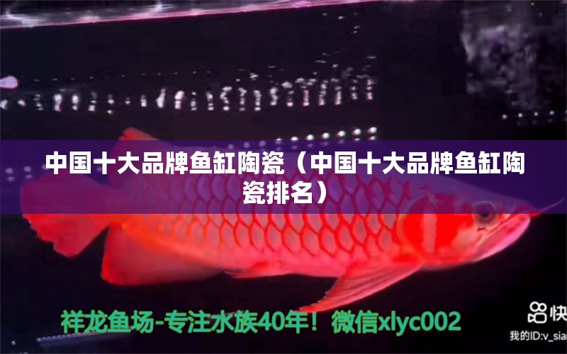 中国十大品牌鱼缸陶瓷（中国十大品牌鱼缸陶瓷排名） 水族品牌