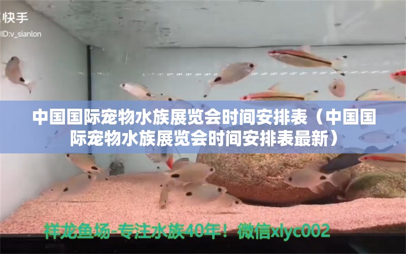 中国国际宠物水族展览会时间安排表（中国国际宠物水族展览会时间安排表最新）