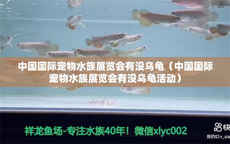 中国国际宠物水族展览会有没乌龟（中国国际宠物水族展览会有没乌龟活动）