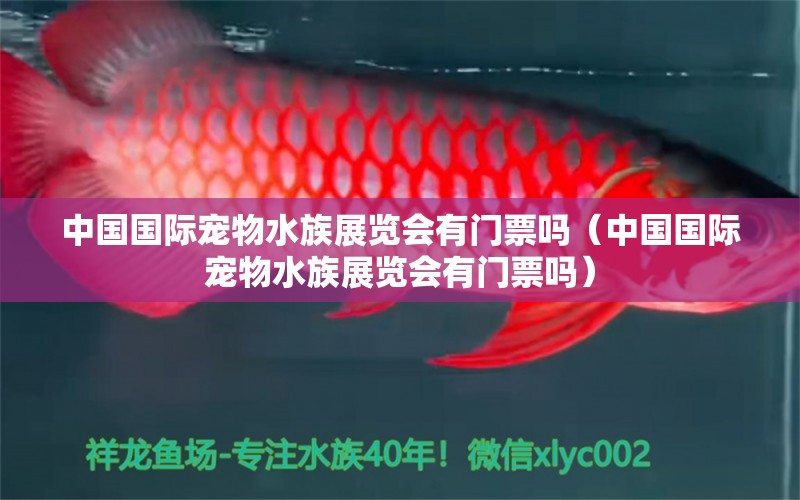 中国国际宠物水族展览会有门票吗（中国国际宠物水族展览会有门票吗） 水族展会