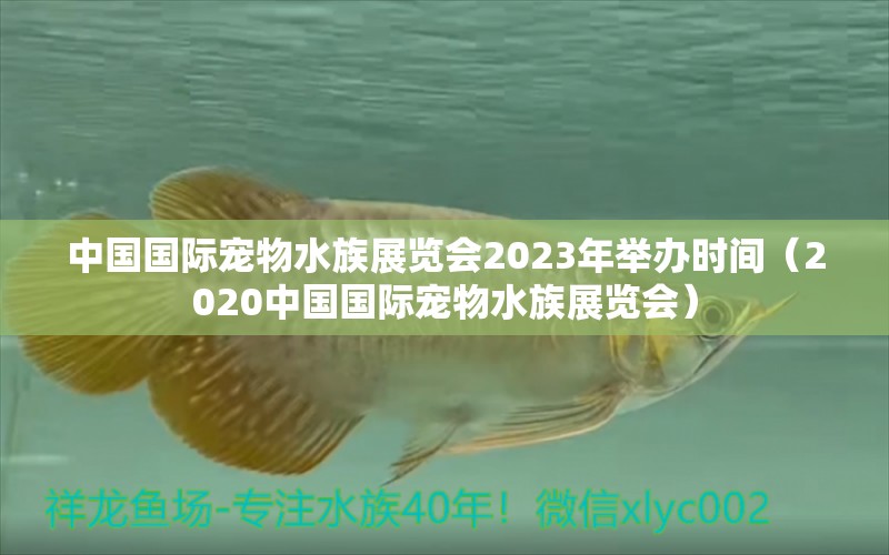 中国国际宠物水族展览会2023年举办时间（2020中国国际宠物水族展览会） 水族展会