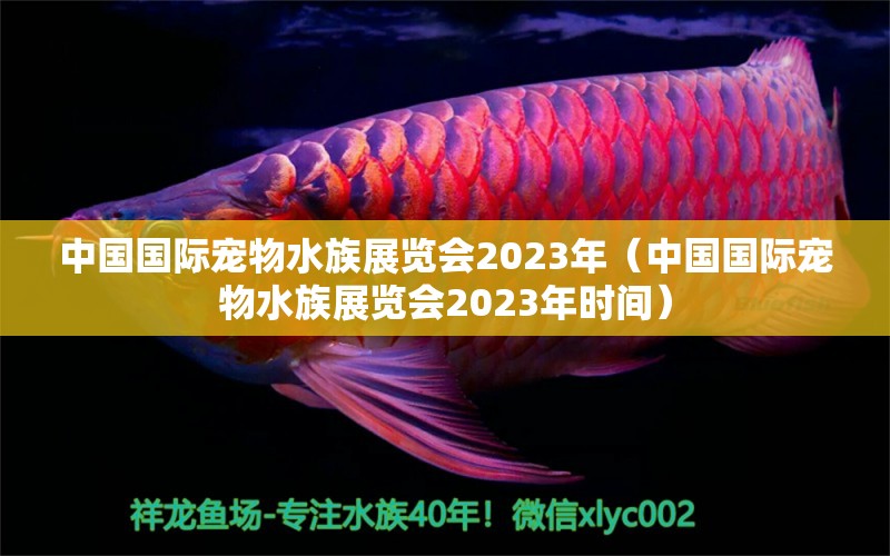 中国国际宠物水族展览会2023年（中国国际宠物水族展览会2023年时间）