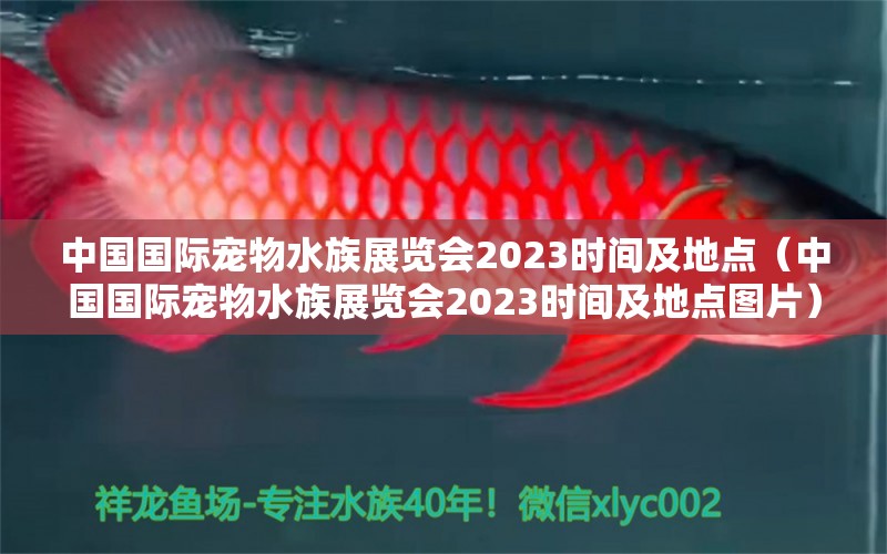 中国国际宠物水族展览会2023时间及地点（中国国际宠物水族展览会2023时间及地点图片）