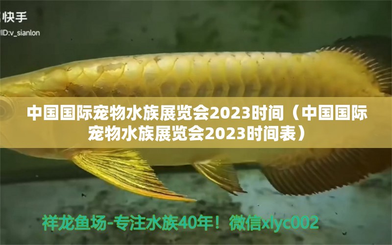 中国国际宠物水族展览会2023时间（中国国际宠物水族展览会2023时间表）