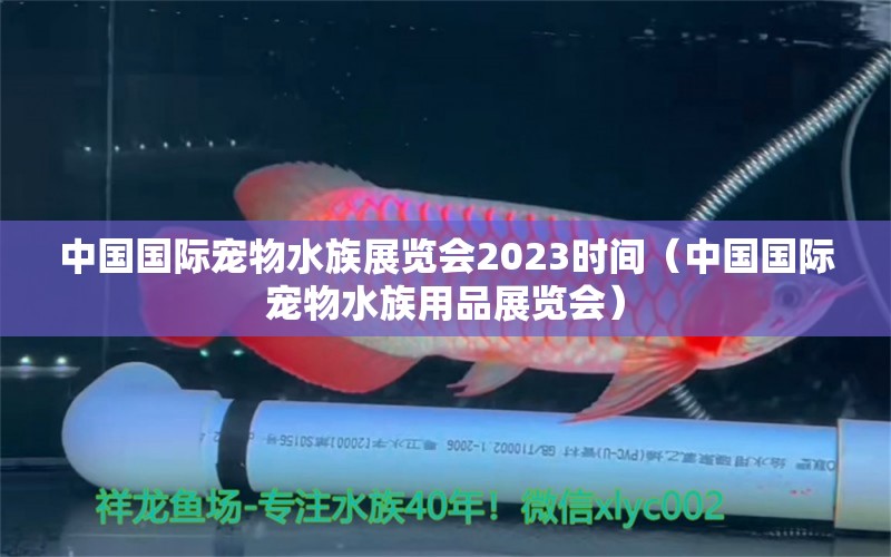 中国国际宠物水族展览会2023时间（中国国际宠物水族用品展览会） 水族展会