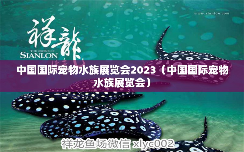 中国国际宠物水族展览会2023（中国国际宠物水族展览会） 水族展会