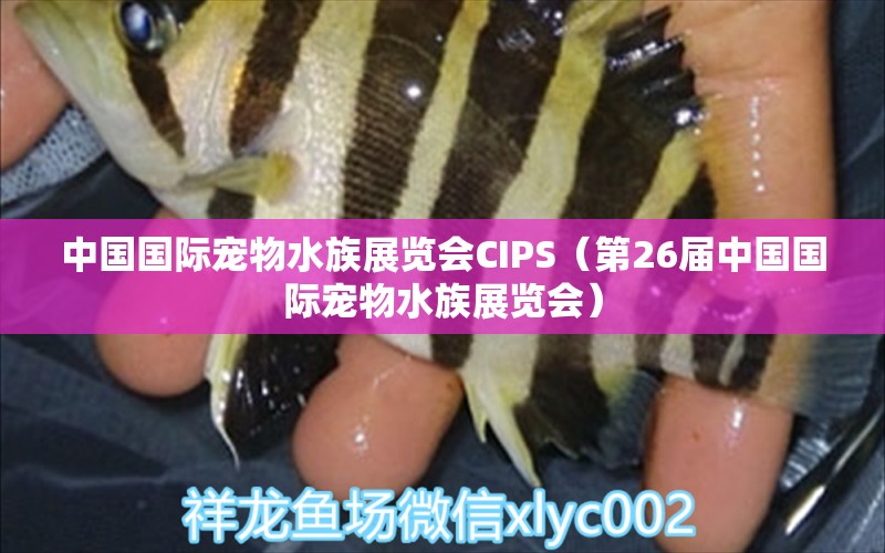 中国国际宠物水族展览会CIPS（第26届中国国际宠物水族展览会）