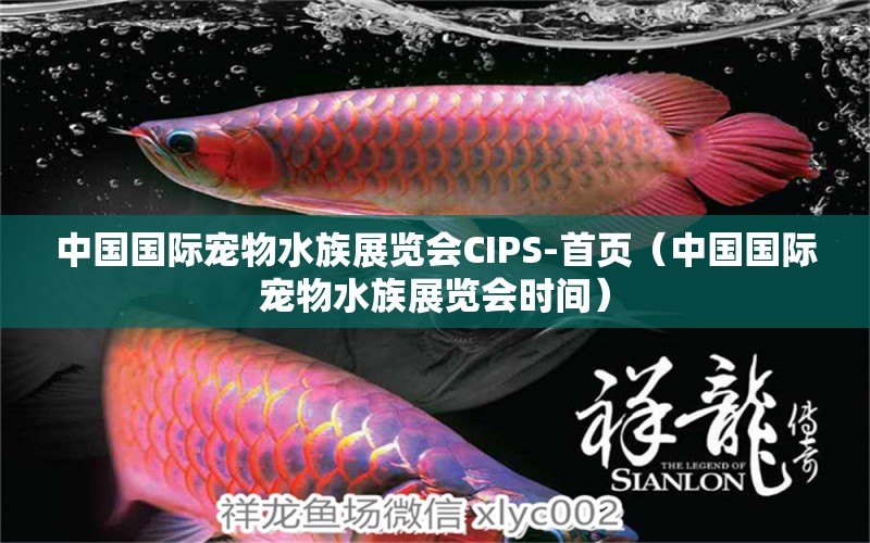 中国国际宠物水族展览会CIPS-首页（中国国际宠物水族展览会时间）