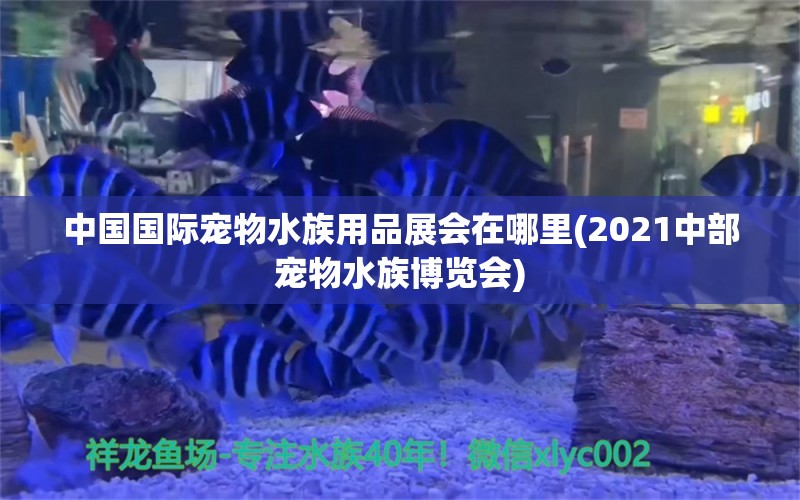 中国国际宠物水族用品展会在哪里(2021中部宠物水族博览会)