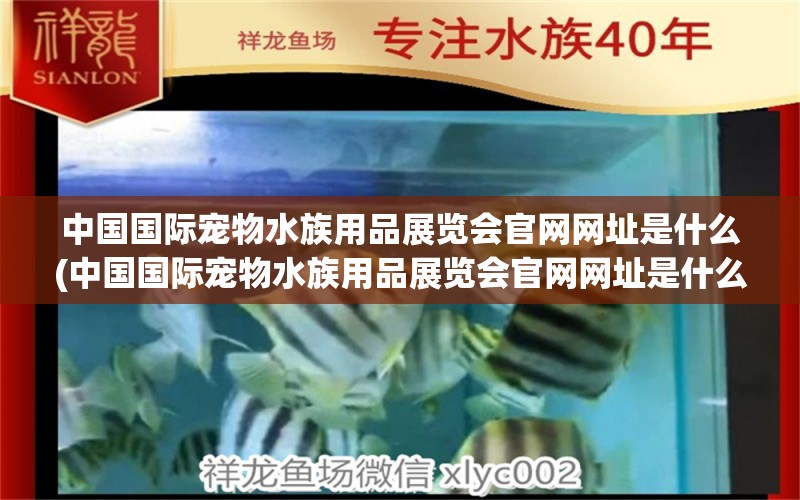 中国国际宠物水族用品展览会官网网址是什么(中国国际宠物水族用品展览会官网网址是什么) 水族用品 第1张