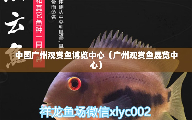 中国广州观赏鱼博览中心（广州观赏鱼展览中心） 广州水族批发市场