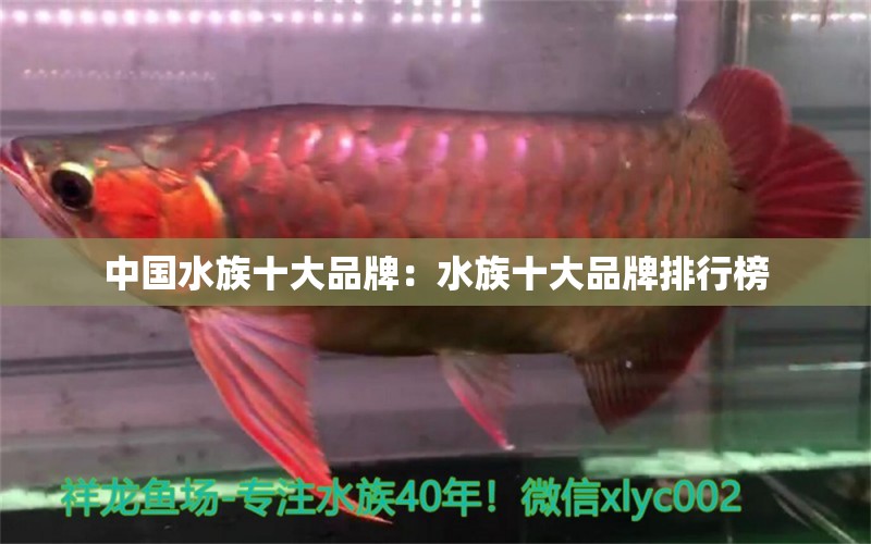 中国水族十大品牌：水族十大品牌排行榜