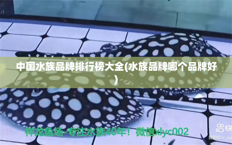 中国水族品牌排行榜大全(水族品牌哪个品牌好) 水族品牌 第1张