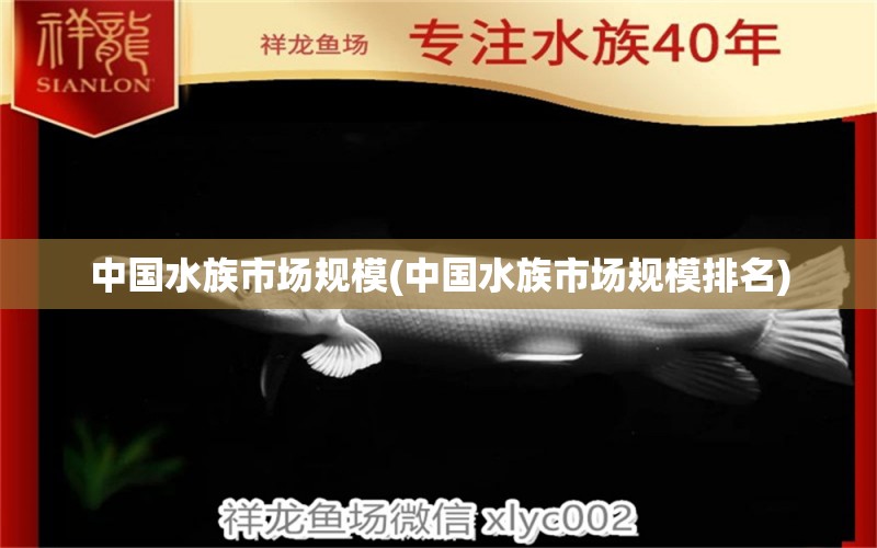 中国水族市场规模(中国水族市场规模排名) 2024第28届中国国际宠物水族展览会CIPS（长城宠物展2024 CIPS） 第1张