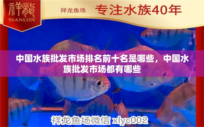 中国水族批发市场排名前十名是哪些，中国水族批发市场都有哪些