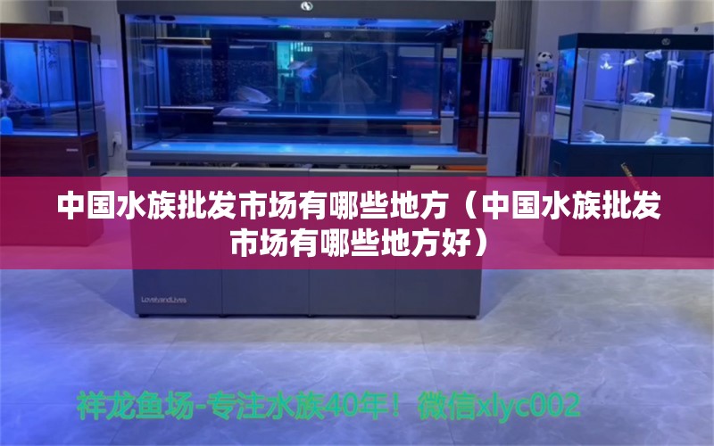 中国水族批发市场有哪些地方（中国水族批发市场有哪些地方好） 观赏鱼水族批发市场