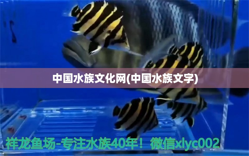 中国水族文化网(中国水族文字) 2024第28届中国国际宠物水族展览会CIPS（长城宠物展2024 CIPS） 第1张