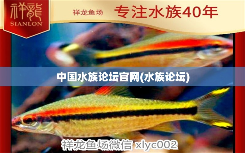 中国水族论坛官网(水族论坛)