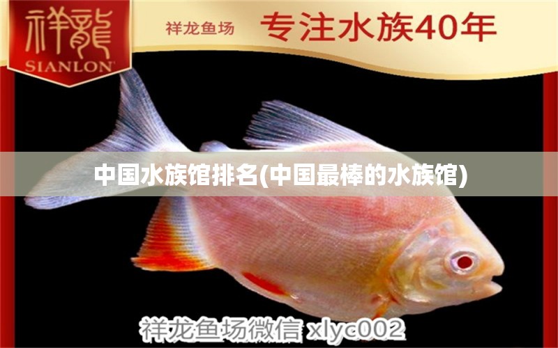 中国水族馆排名(中国最棒的水族馆) 2024第28届中国国际宠物水族展览会CIPS（长城宠物展2024 CIPS） 第1张