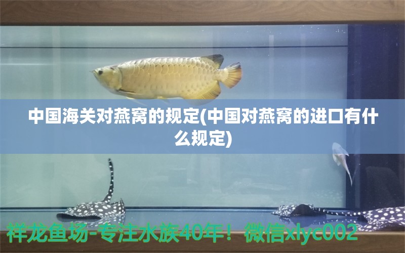 中国海关对燕窝的规定(中国对燕窝的进口有什么规定)