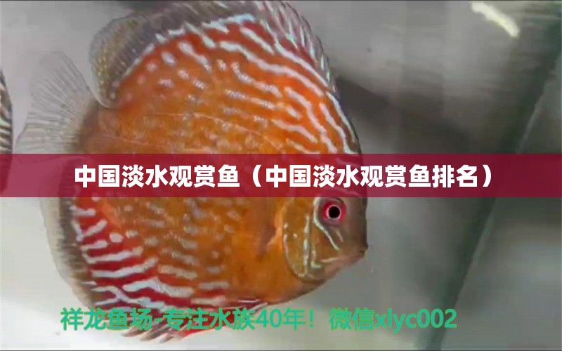 中国淡水观赏鱼（中国淡水观赏鱼排名） 和兴红龙