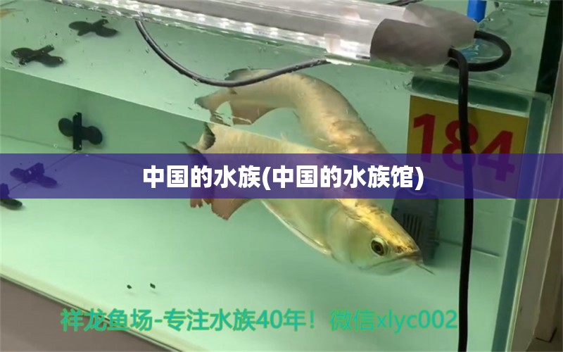 中国的水族(中国的水族馆) 2024第28届中国国际宠物水族展览会CIPS（长城宠物展2024 CIPS） 第1张