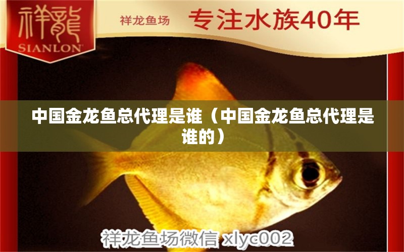 中国金龙鱼总代理是谁（中国金龙鱼总代理是谁的） 祥龙水族医院