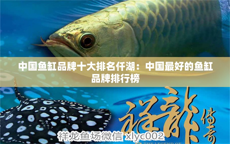 中国鱼缸品牌十大排名仟湖：中国最好的鱼缸品牌排行榜 仟湖