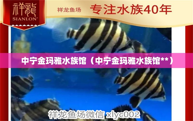 中宁金玛雅水族馆（中宁金玛雅水族馆**）