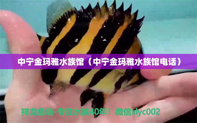 中宁金玛雅水族馆（中宁金玛雅水族馆电话） 全国水族馆企业名录