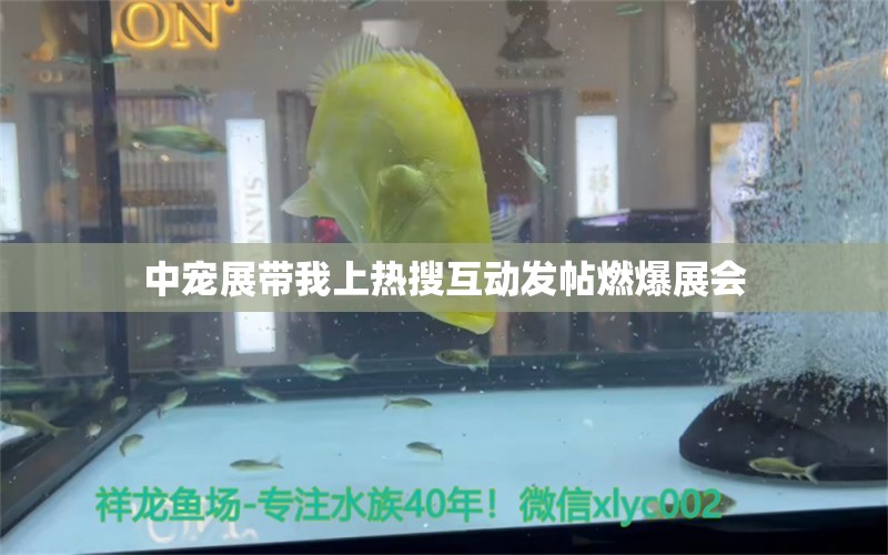 中宠展带我上热搜互动发帖燃爆展会 祥龙龙鱼专用水族灯 第2张