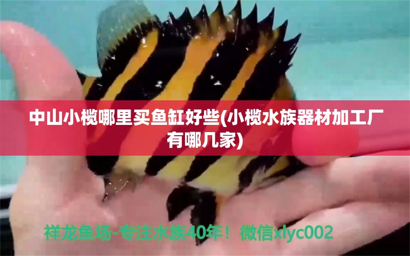 中山小榄哪里买鱼缸好些(小榄水族器材加工厂有哪几家)