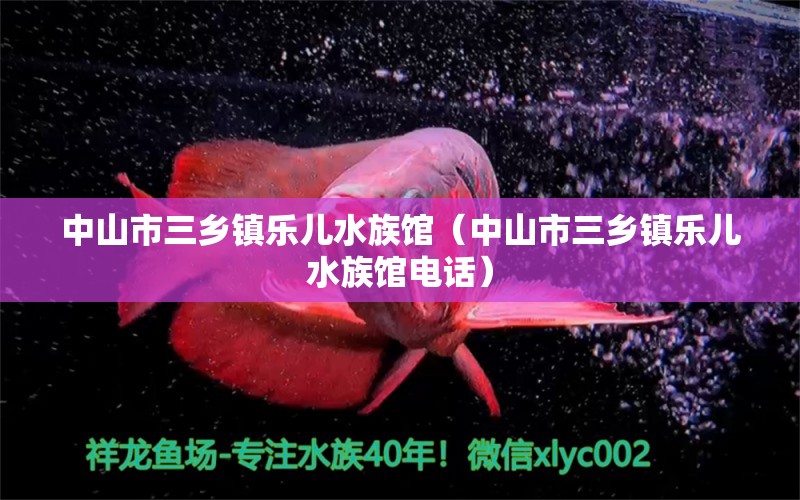 中山市三乡镇乐儿水族馆（中山市三乡镇乐儿水族馆电话）