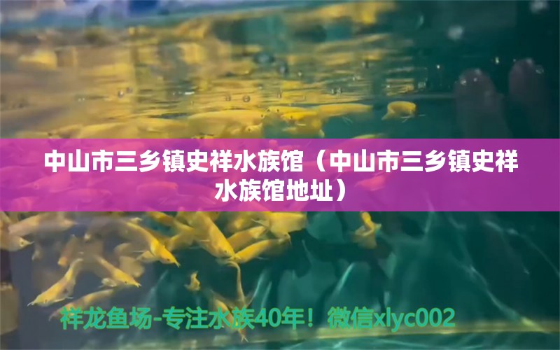 中山市三乡镇史祥水族馆（中山市三乡镇史祥水族馆地址）