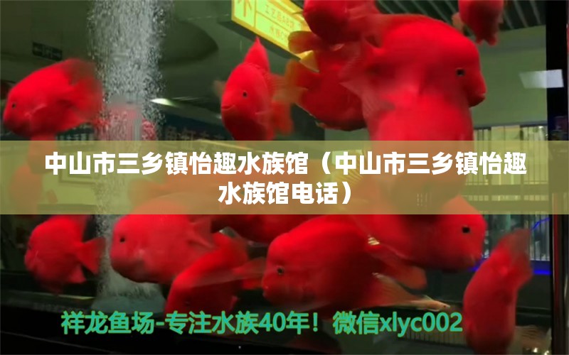 中山市三乡镇怡趣水族馆（中山市三乡镇怡趣水族馆电话） 全国水族馆企业名录