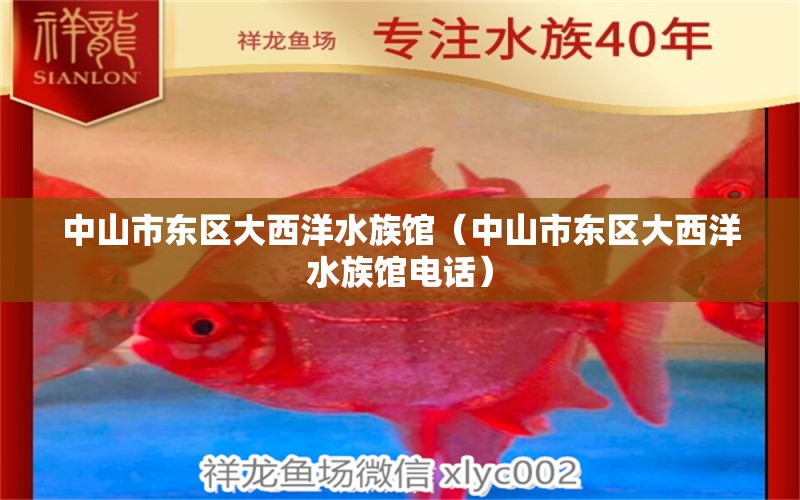 中山市东区大西洋水族馆（中山市东区大西洋水族馆电话） 全国水族馆企业名录