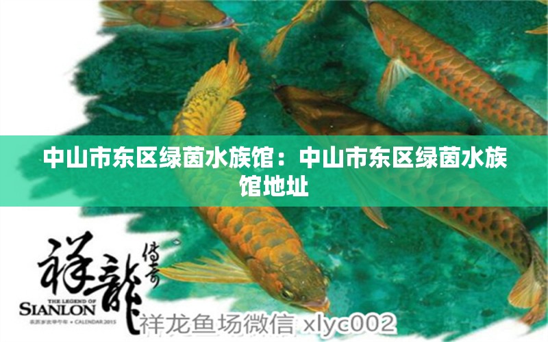 中山市东区绿茵水族馆：中山市东区绿茵水族馆地址