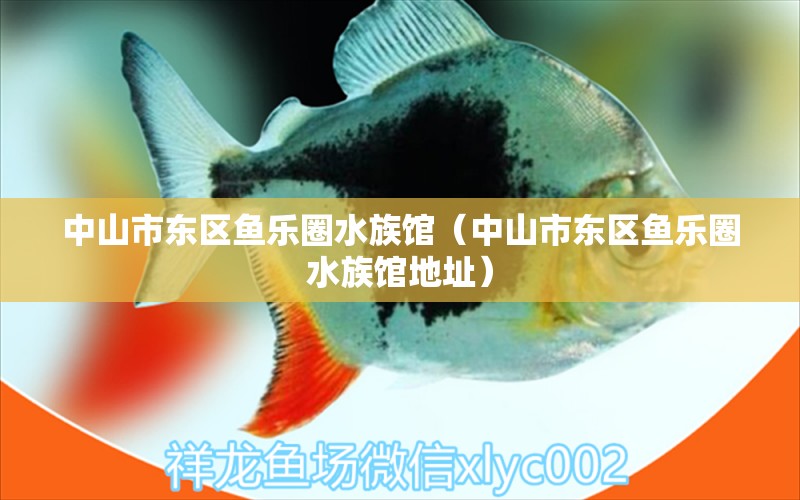 中山市东区鱼乐圈水族馆（中山市东区鱼乐圈水族馆地址） 全国水族馆企业名录