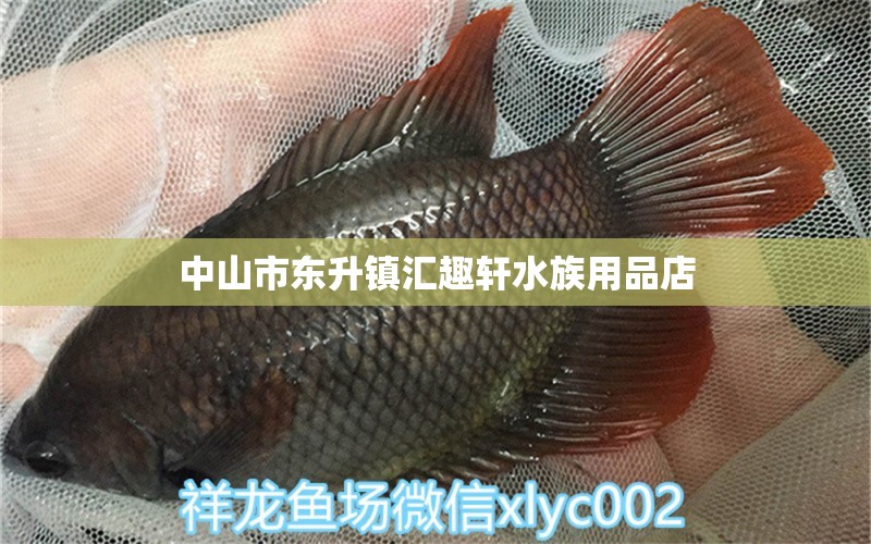 中山市东升镇汇趣轩水族用品店