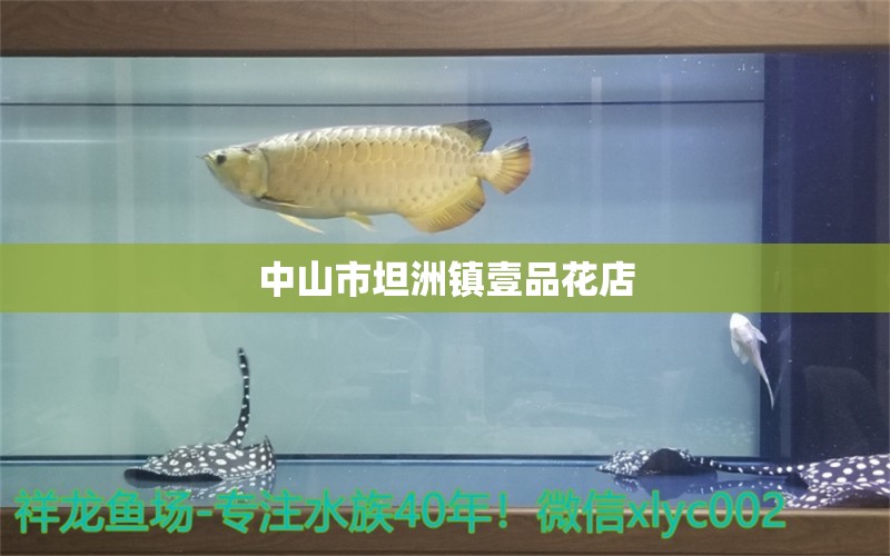 中山市坦洲镇壹品花店 全国水族馆企业名录