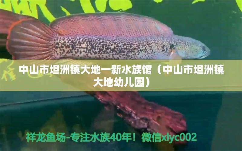 中山市坦洲镇大地一新水族馆（中山市坦洲镇大地幼儿园）