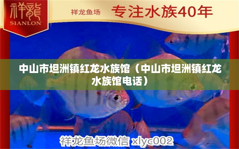 中山市坦洲镇红龙水族馆（中山市坦洲镇红龙水族馆电话） 全国水族馆企业名录